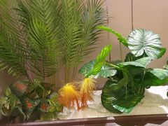 -蜀厨小匠·民间川菜(犀浦店)