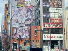 -秋叶原电器街