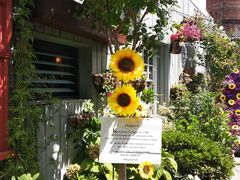 -The Grounds of Alexandria
