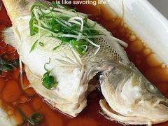-云中小雅