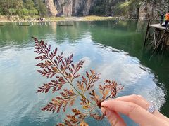 -大连冰峪旅游度假区