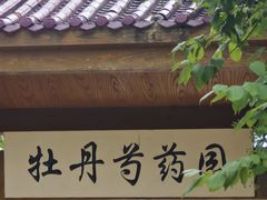 -黑龙江省森林植物园