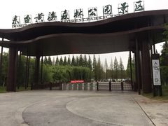 -黄海国家森林公园