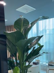 -洁铭新加坡医美