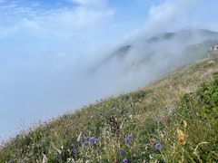 -白草畔自然风景区