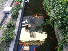 花园-老洋房花园饭店(绍兴路店)