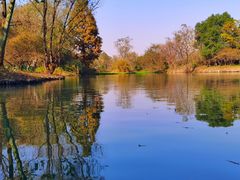 -西溪国家湿地公园