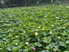 -廊坊文化艺术中心