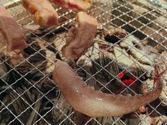 -白山烧烤(文安路万豪店)