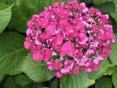 -昆山城市生态森林公园