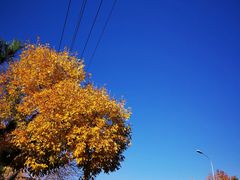 -北京西山国家森林公园