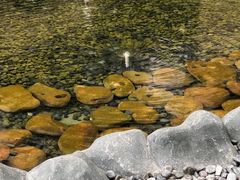 -上海外滩茂悦大酒店