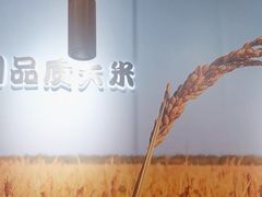 -吉野家(回龙观同成街店)