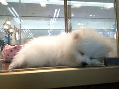 -乐宠宠物店(世纪金源店)