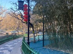 -宣武艺园