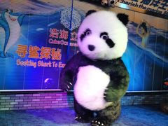 -成都浩海立方海洋公园