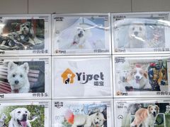 -翊宠yipet猫狗购宠庄园犬舍•猫舍