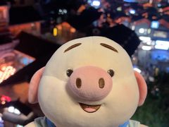 -重庆十八梯传统风貌区