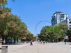 -哈尔滨极乐寺