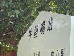 -牛鱼嘴原始生态风景区