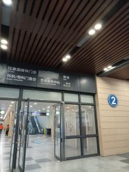 -上海交通大学医学院附属上海儿童医学中心(陆家嘴总院区)