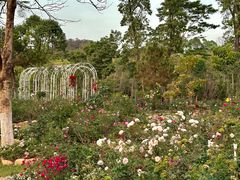 -东莞植物园