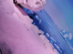 -贝林大翅鲸简餐厅(国家海洋博物馆店)