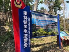 -霸王岭国家森林公园