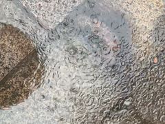 -衢州古城文化旅游区钟楼