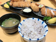-胜博殿日式炸猪排(西红门店)