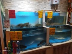 水产区-粤秀小厨·广式早茶(辽宁路店)