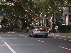 -村口大树(长乐路店)