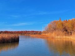 -溱湖国家湿地公园
