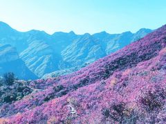 -周口店坡峰岭风景区