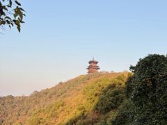 -杭州半山国家森林公园