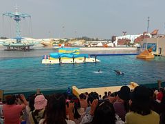 -秦皇岛乐岛海洋王国