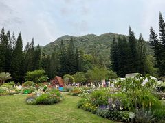 -深圳仙湖植物园
