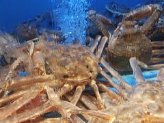 -阿伟海鲜楼·福建菜(延寿店)