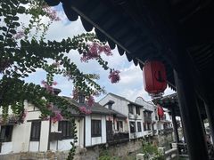 -南翔古镇