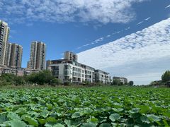 -天津东丽湖风景区