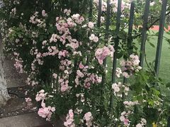 -上海师范大学西部食堂
