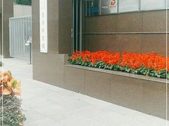 -宋庆龄陵园