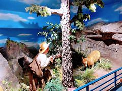 -陕西自然博物馆