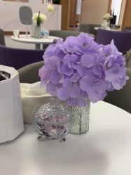 -上海伊莱美医疗美容医院