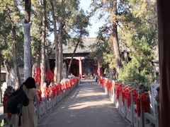 -关林
