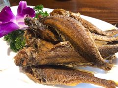 -浦江餐饮•上海菜馆(五四路店)