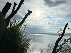 -捞渔河湿地公园