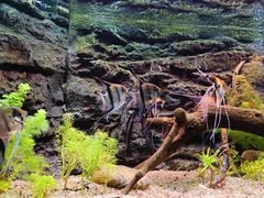 -上海海洋水族馆