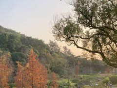 -云溪植物园