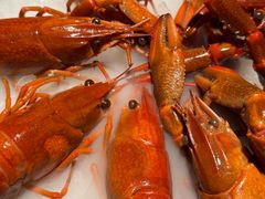 -红盔甲·小龙虾(人民广场店)